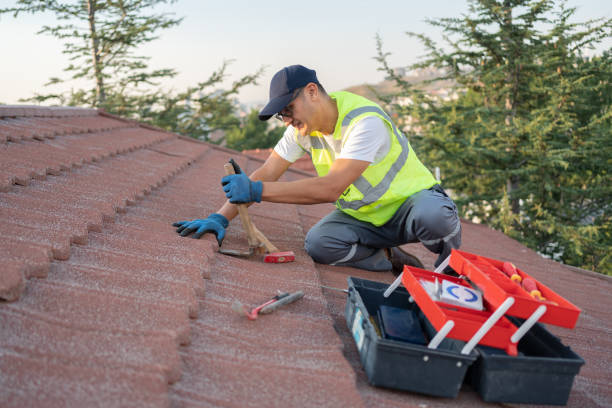 Best Storm Damage Roof Repair  in Riverview, DE